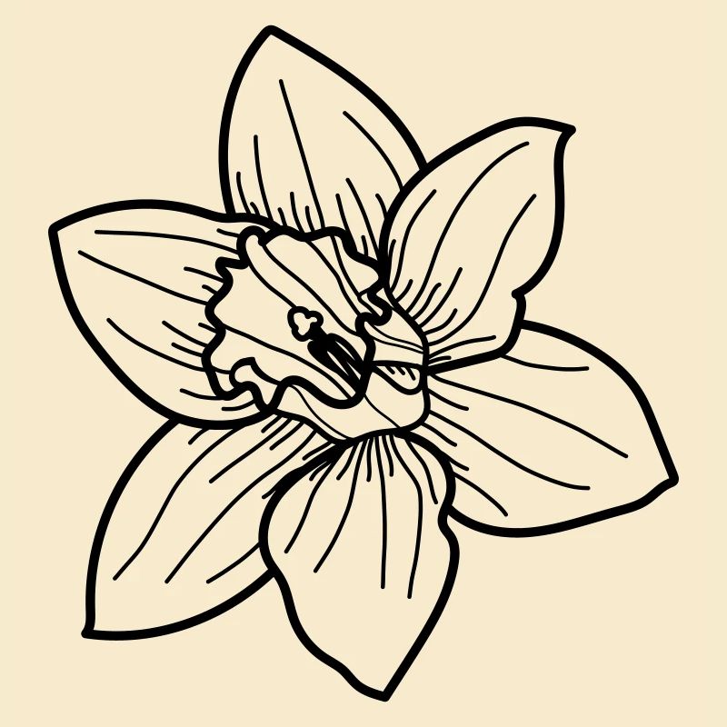 Daffodil flower