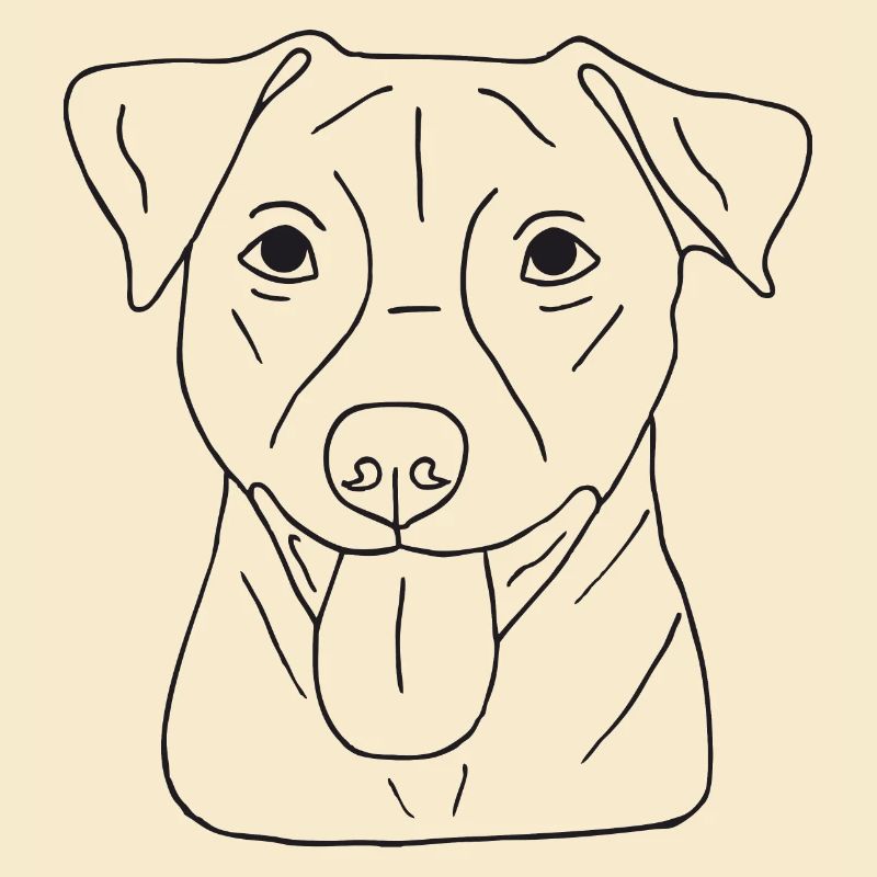 Jack Russell Terrier