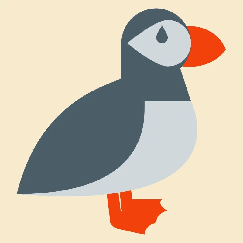 Puffin bird