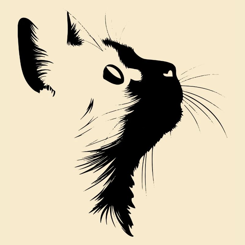 Chat, Motif De Chat, Visage De Chat