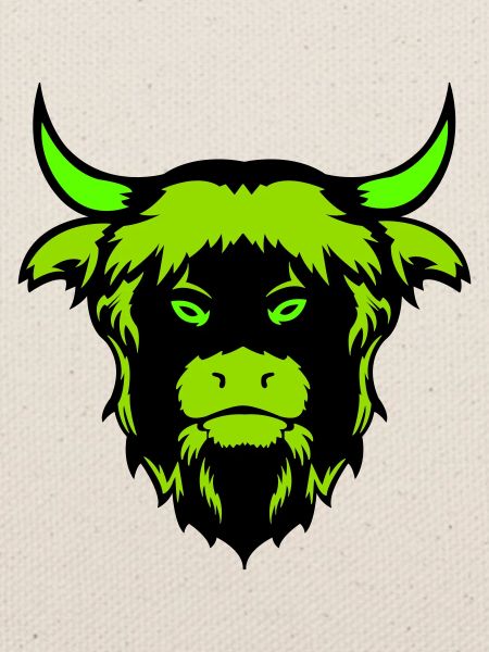buffalo bull