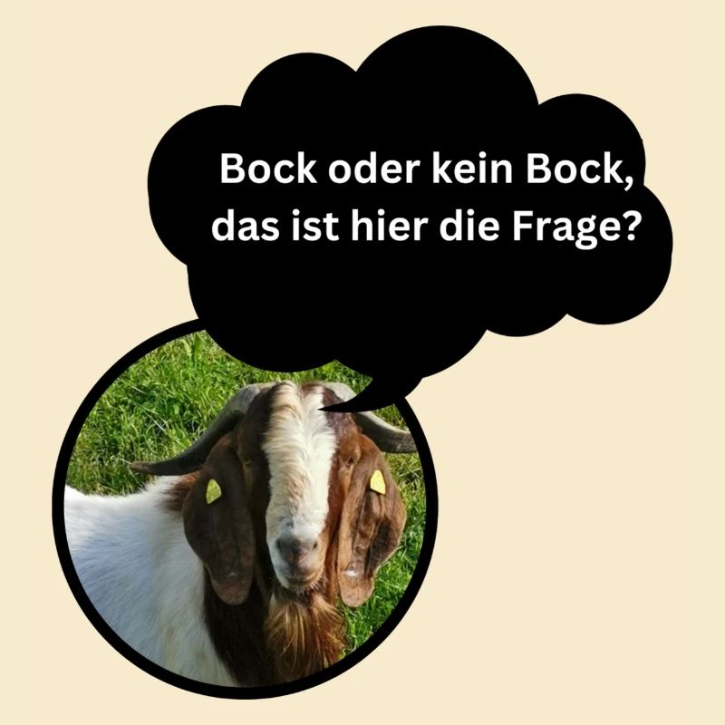 Chemise amusante « Bock oder kein Bock... »