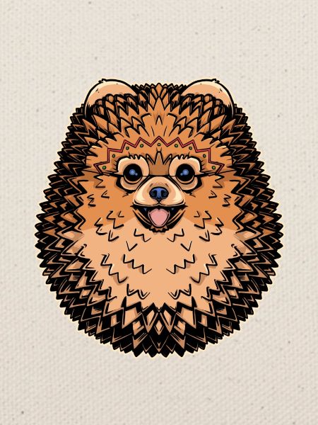 Stammes-Spitz