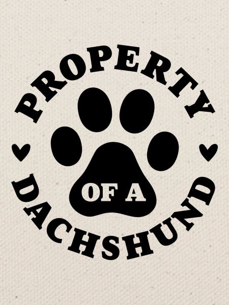 Eigentum eines Dackels