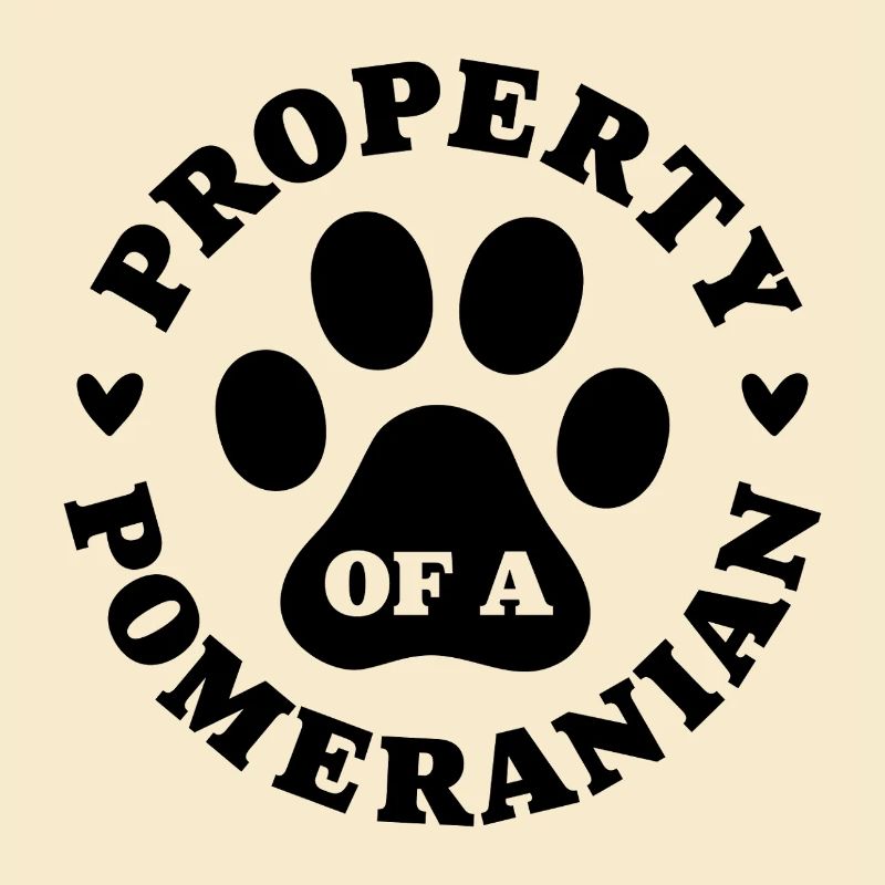 Eigentum eines Zwergspitzs