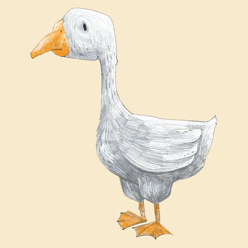 Eine kleine Gans