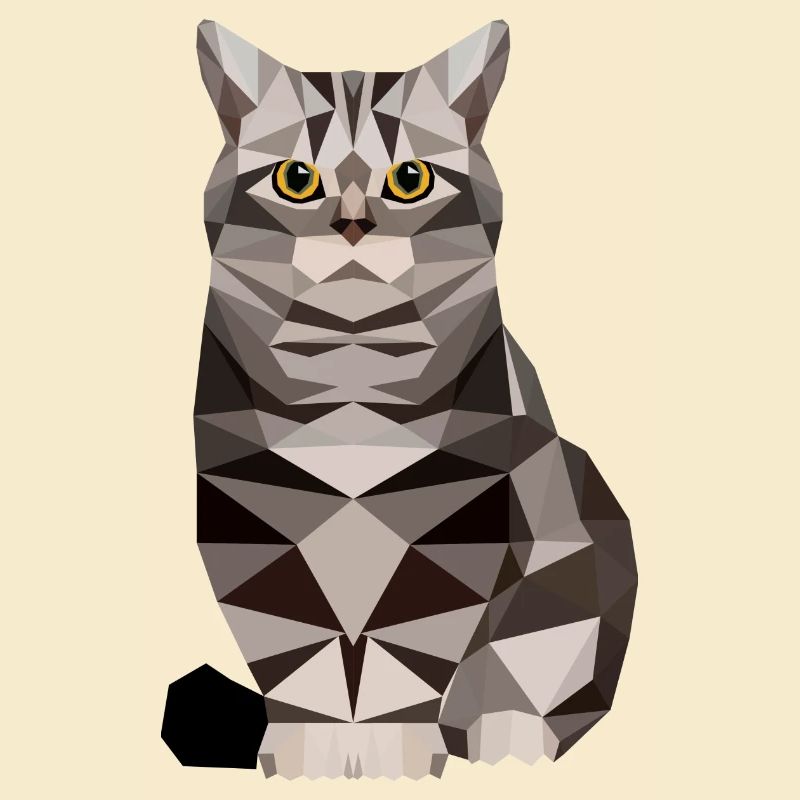 Cat polygon House cat kitten cat