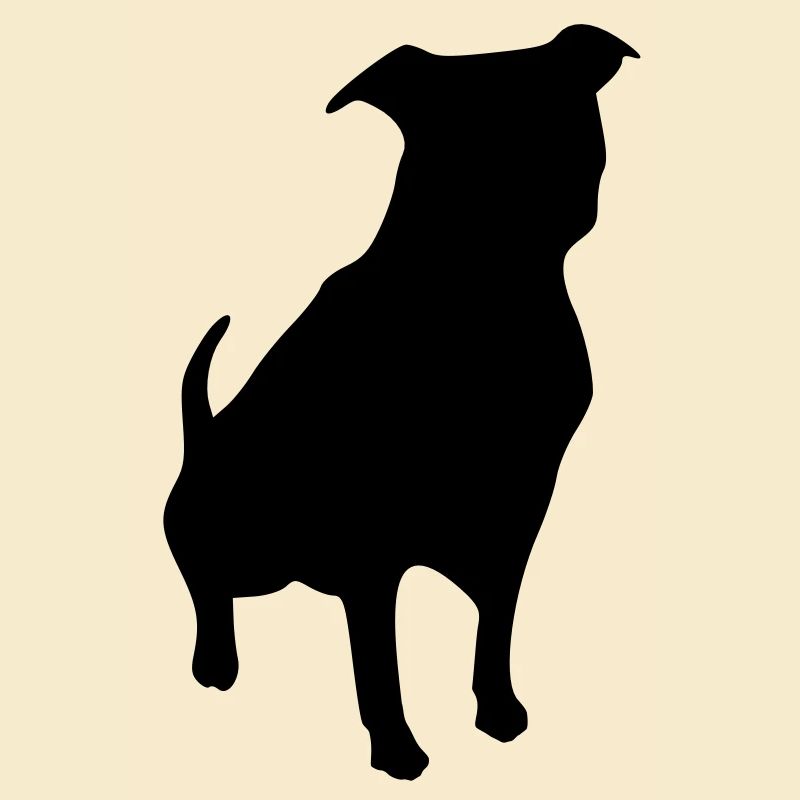 Chien
