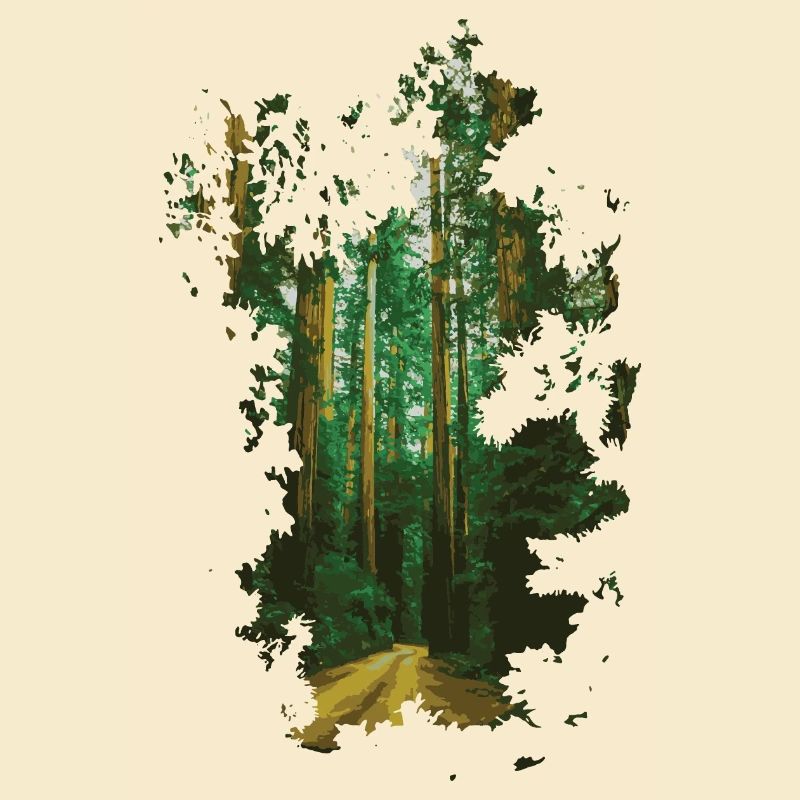 Wald