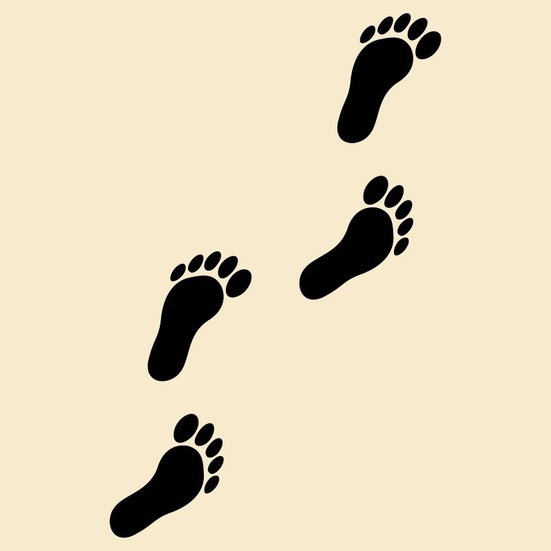 feets_f1