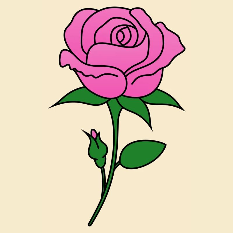 Rose pink