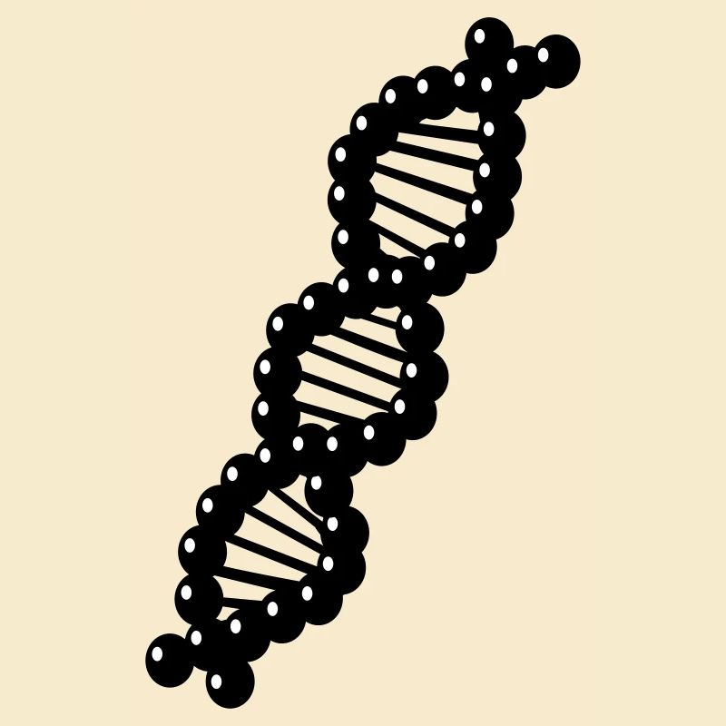 DNA - ADN
