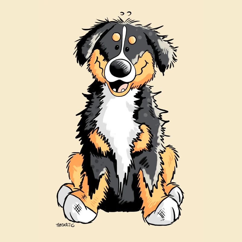 Cute Bernese Mountain Dog
