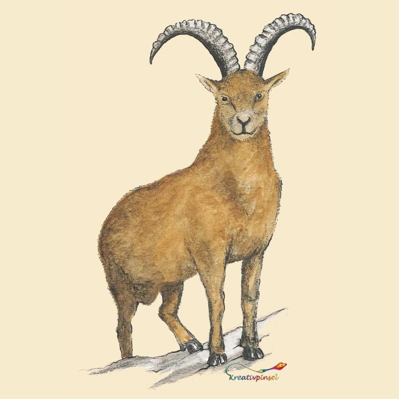 Steinbock