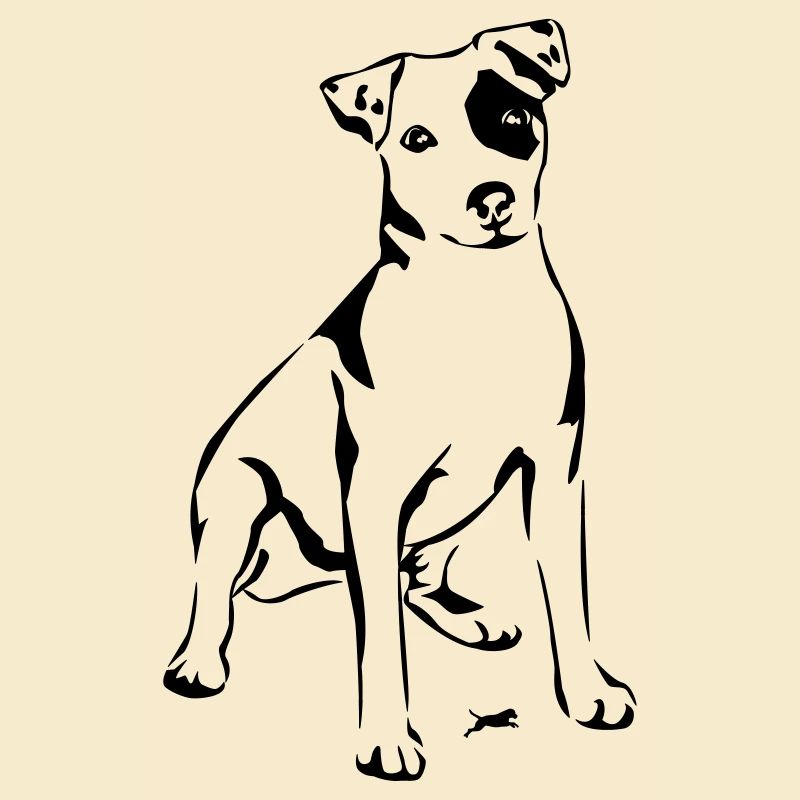 Jack Russel