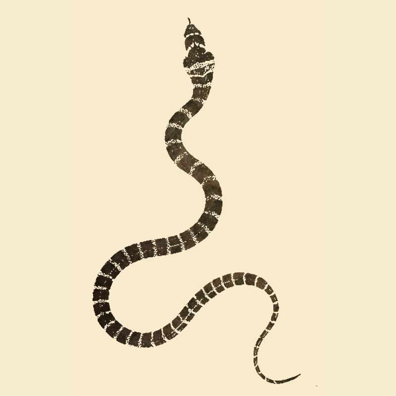 serpent