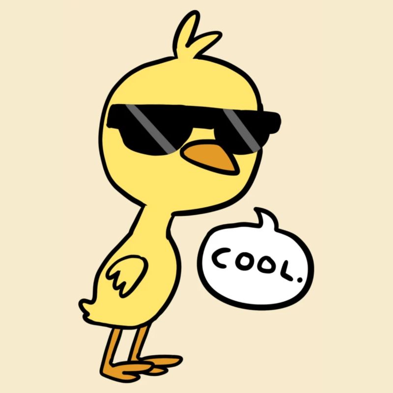 Cool Chick