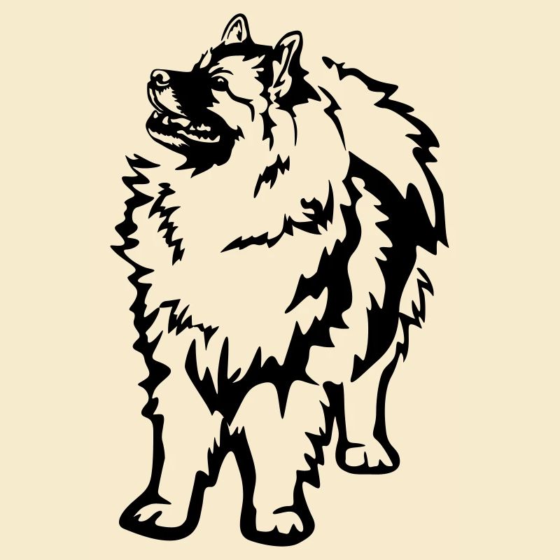 Wolfsspitz