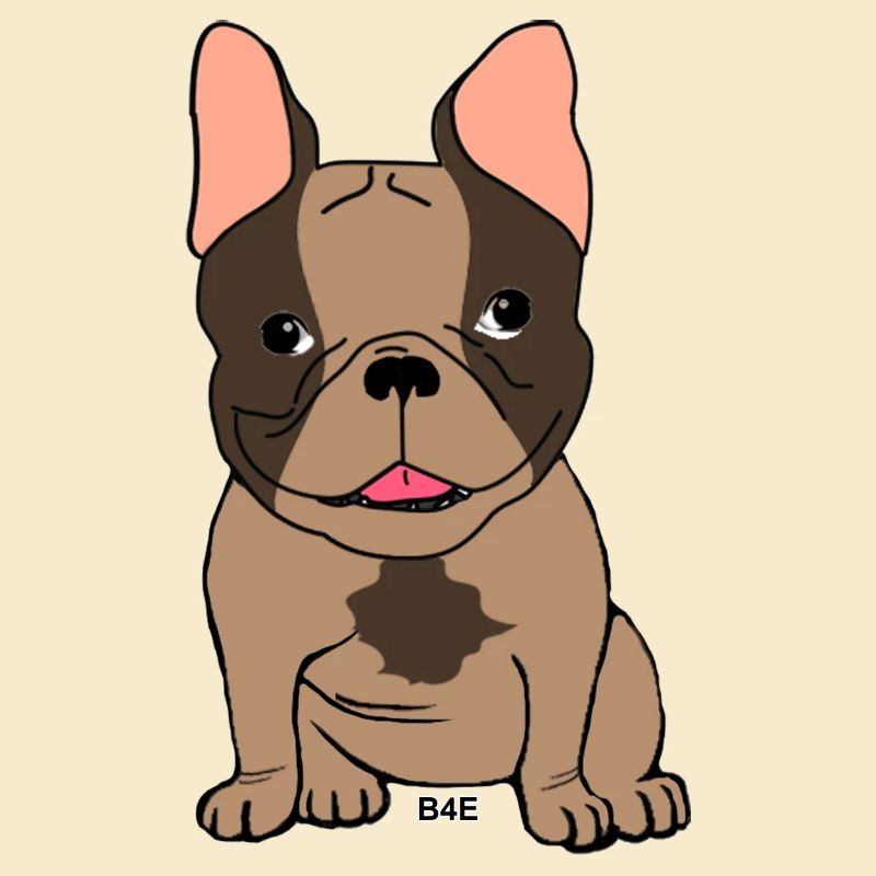 B4E - Boubou
