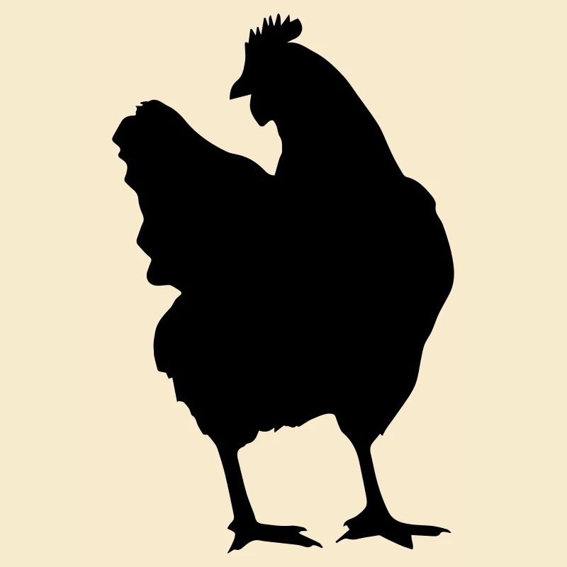 chicken