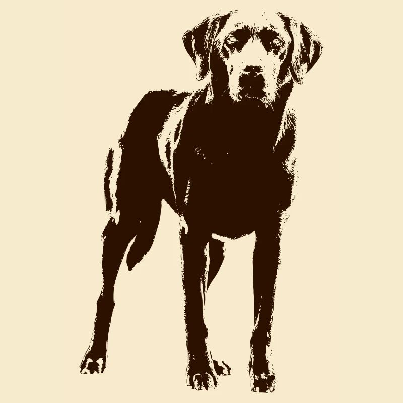 Labrador