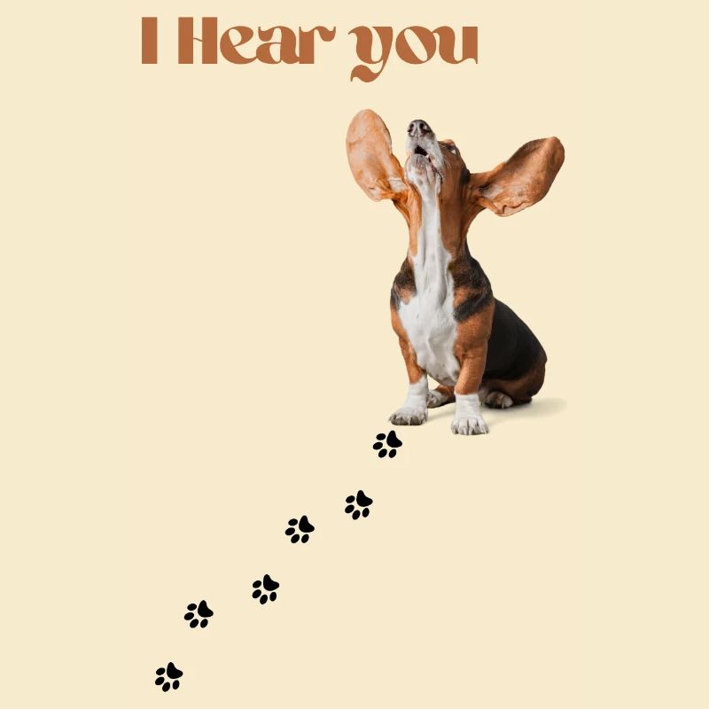 I Hear you