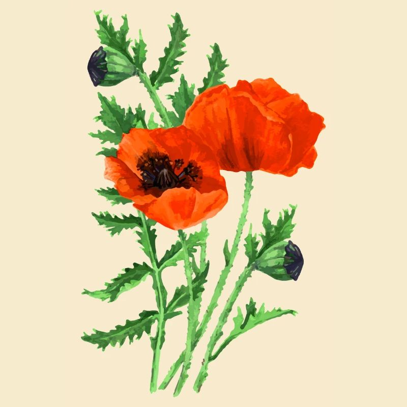 Blumen