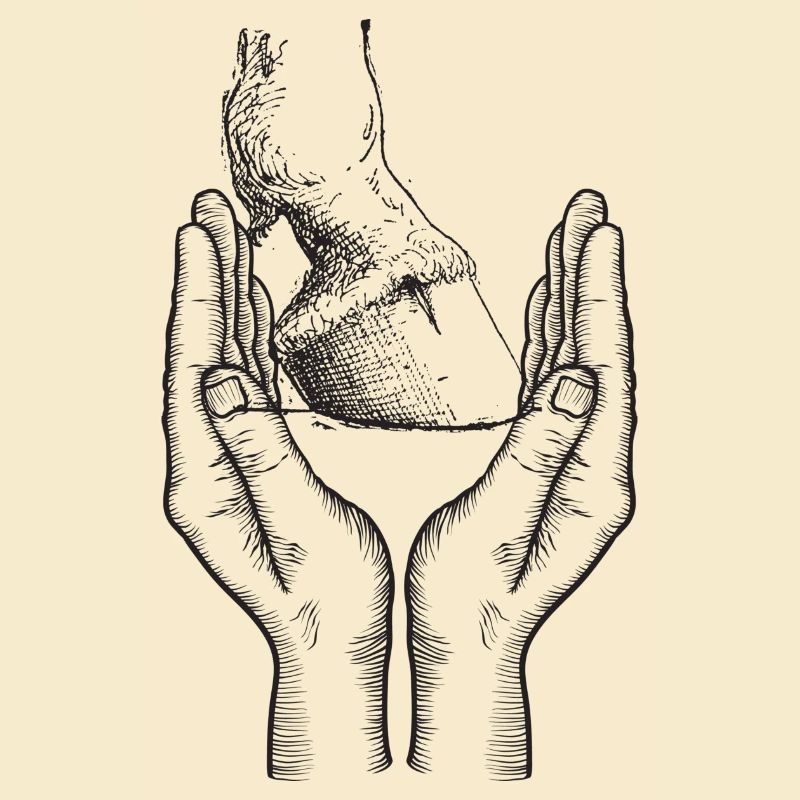 Pferdehuf Hand