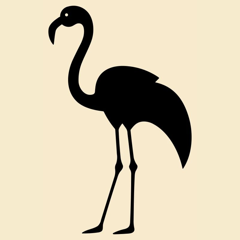 flamant rose