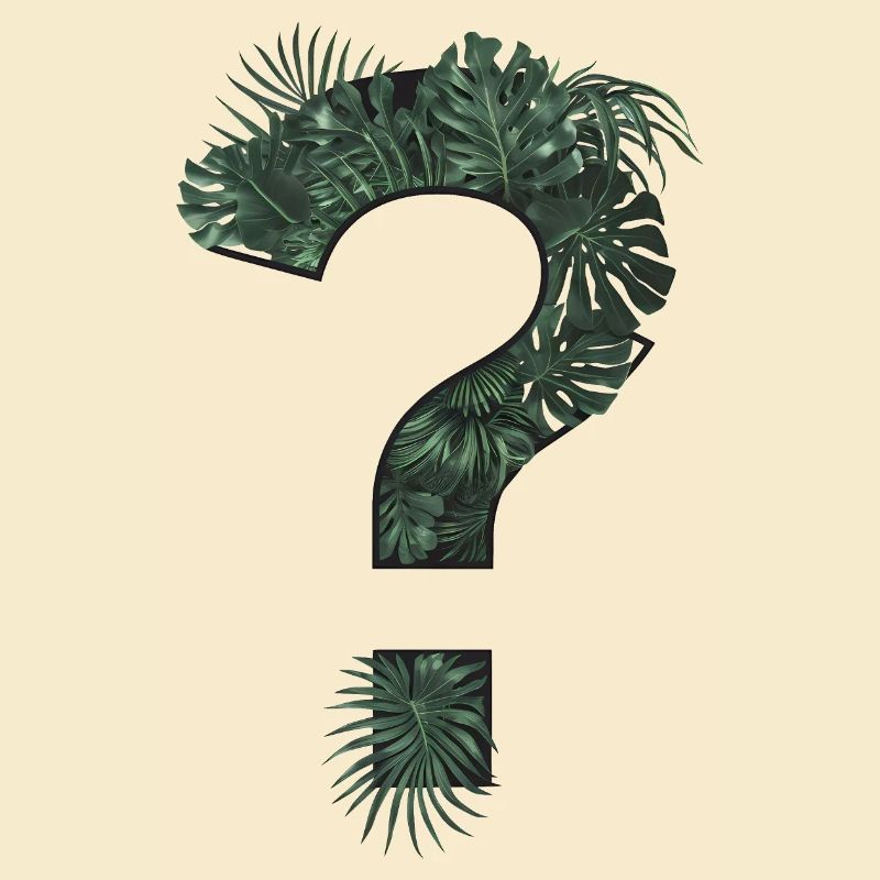 Point d’interrogation plantes tropicales