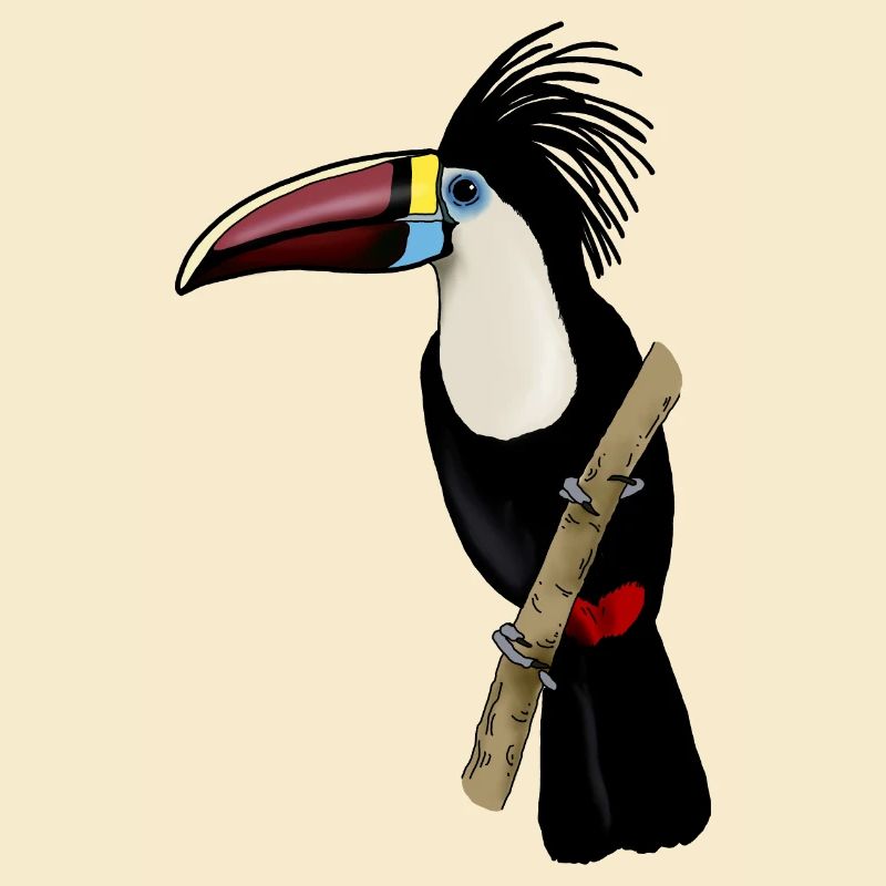 Toucan on a branch