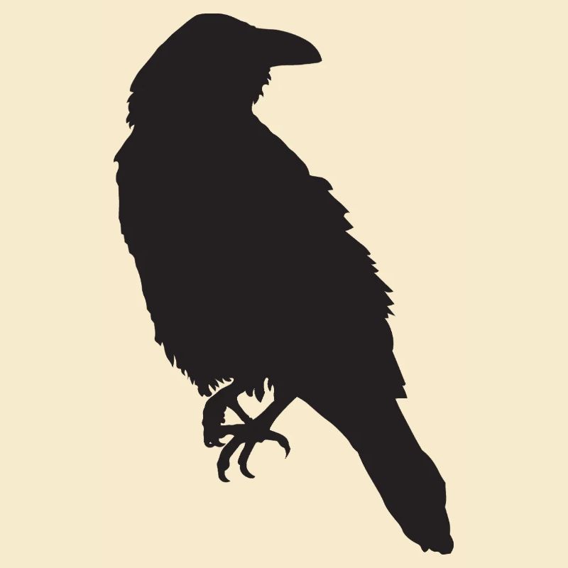 Krähe III