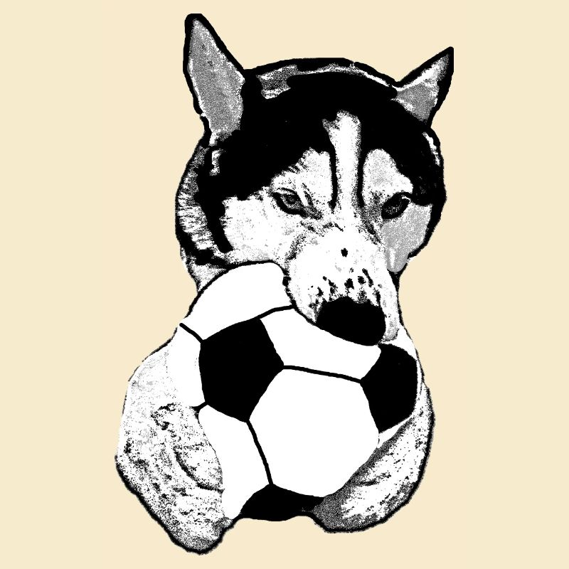 Husky mit Ball