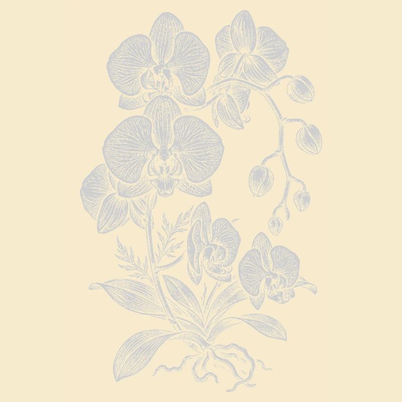 Orchid Linework Silk Floral