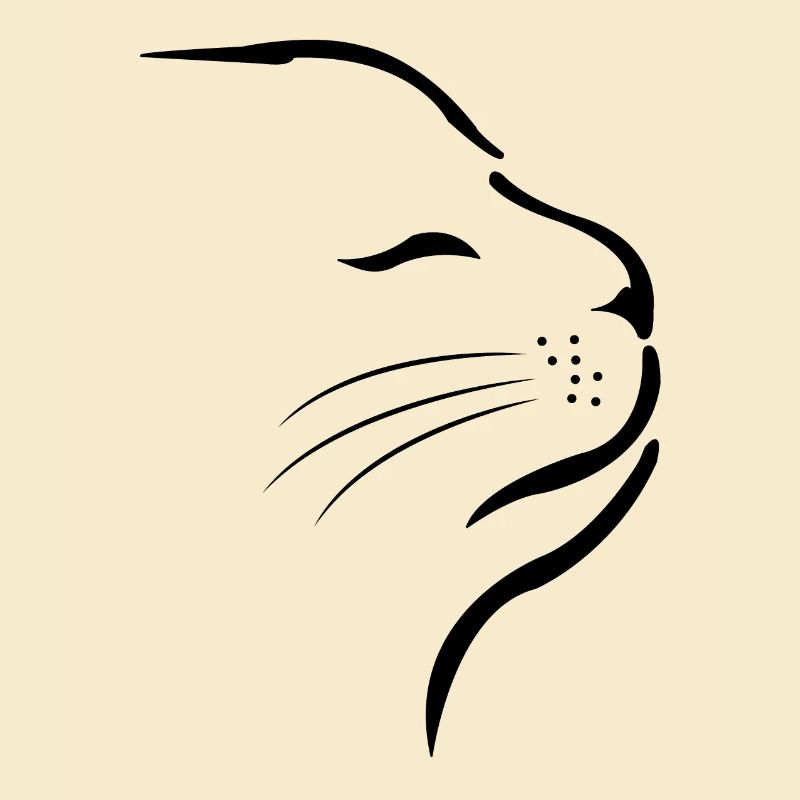Katze Katzen