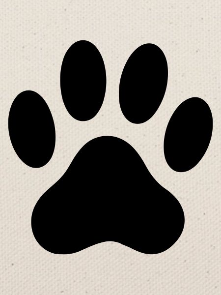 Hunde-Paste