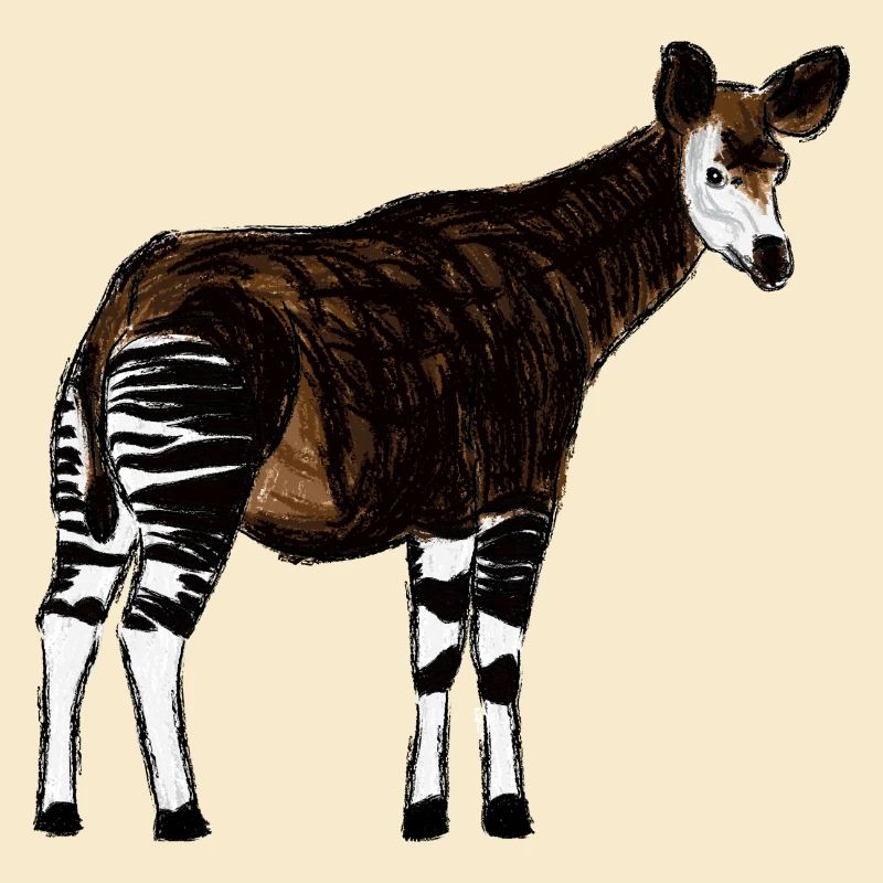 Okapi I