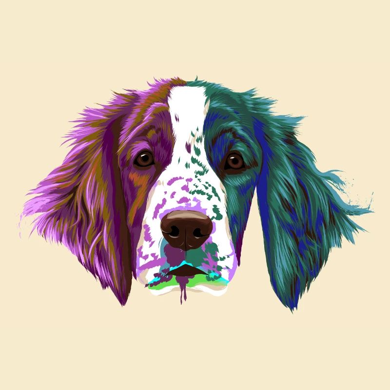 Splash Welsh Springer Spaniel Hund