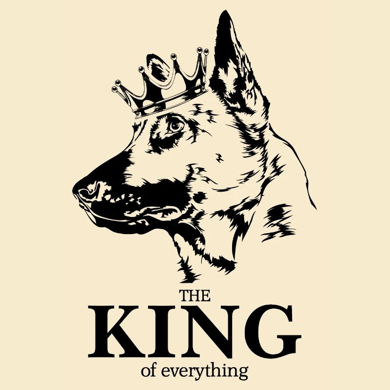 Malinois roi de tout dire chiens