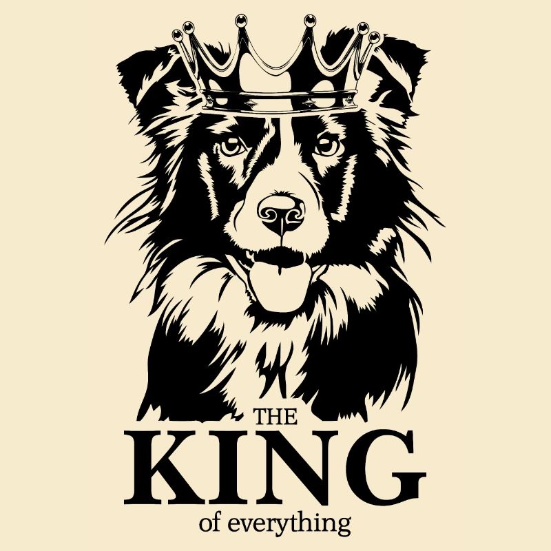 Border Collie Roi de tout Chien Wilsigns