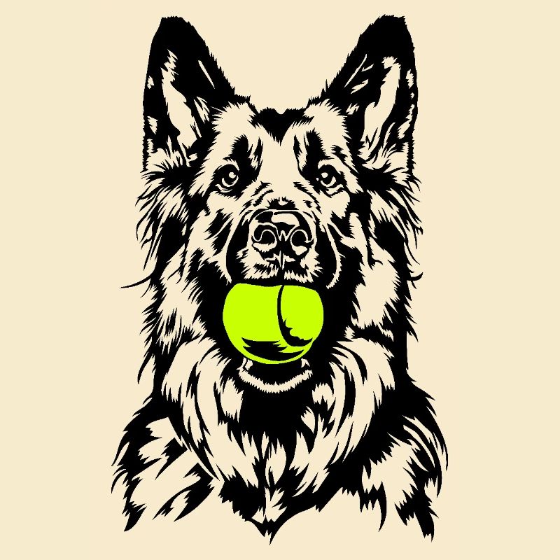 German Longhaired German Shepherd Dogs Wilsigns