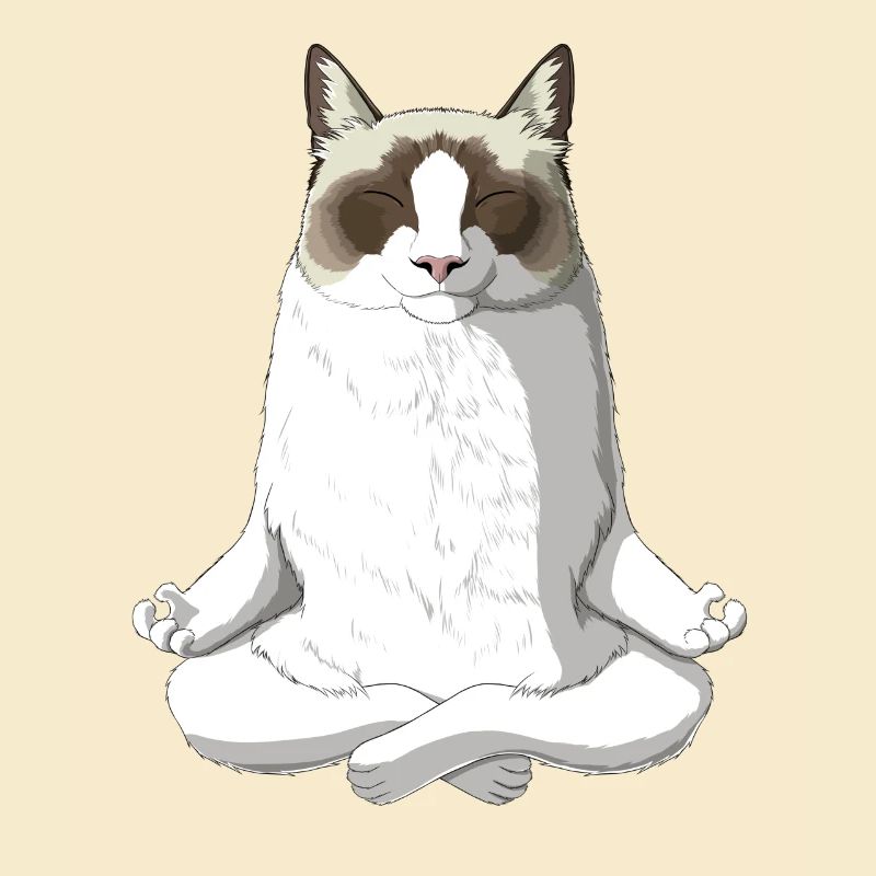 Ragdoll Katze