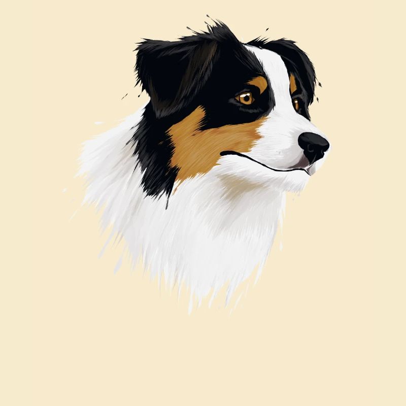 AUSTRALIAN SHEPHERD