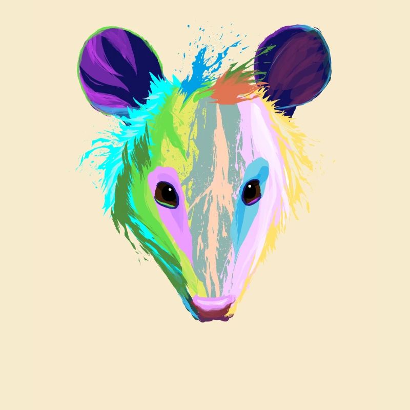 Splash Opossums