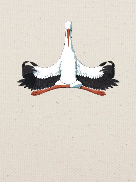 Meditation Storch