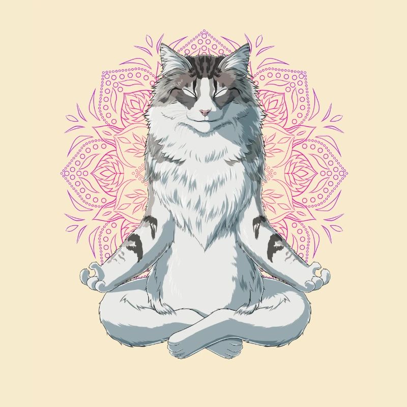 Norwegische Waldkatze Meditation