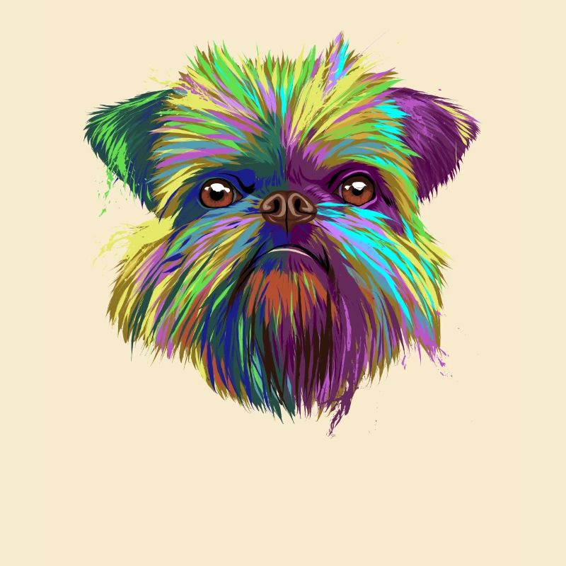 Brussels Griffon Hund