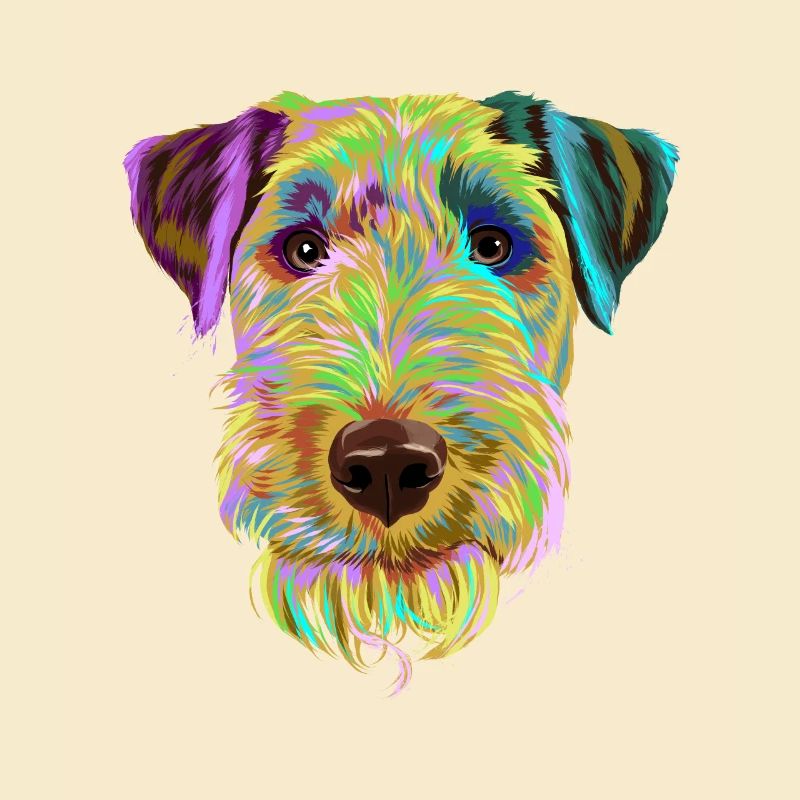 Splash Welsh Terrier chien