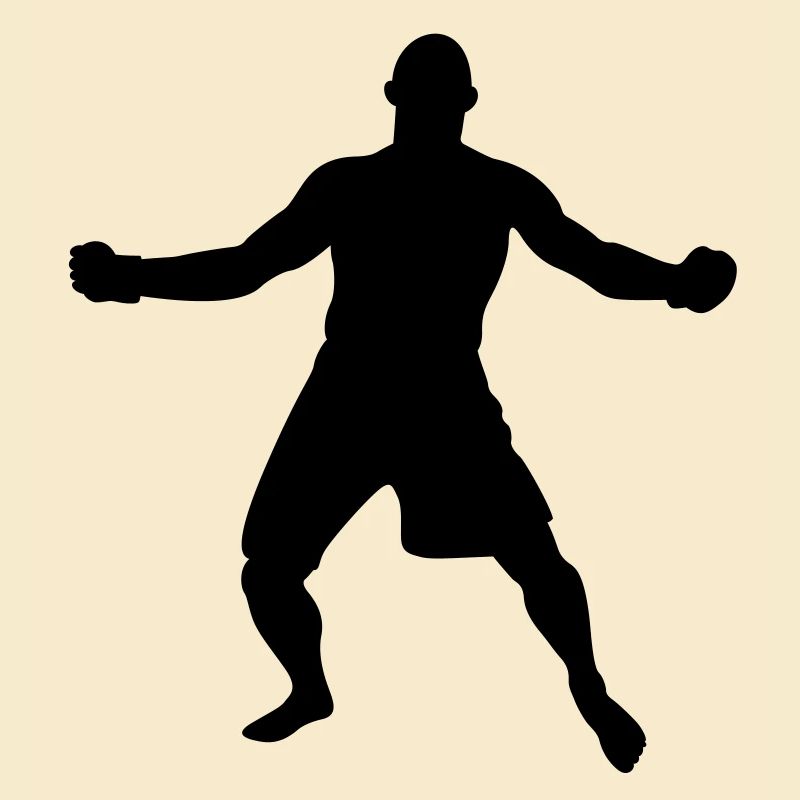 MMA N ° 7
