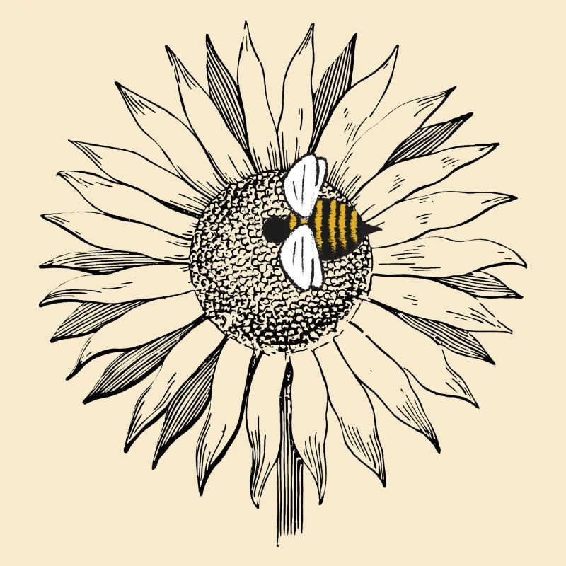 Sonnenblume mit Hummel